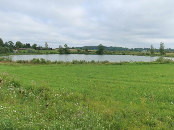 Kodijärv 2023