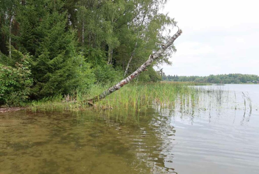 Pangodi järv 2023