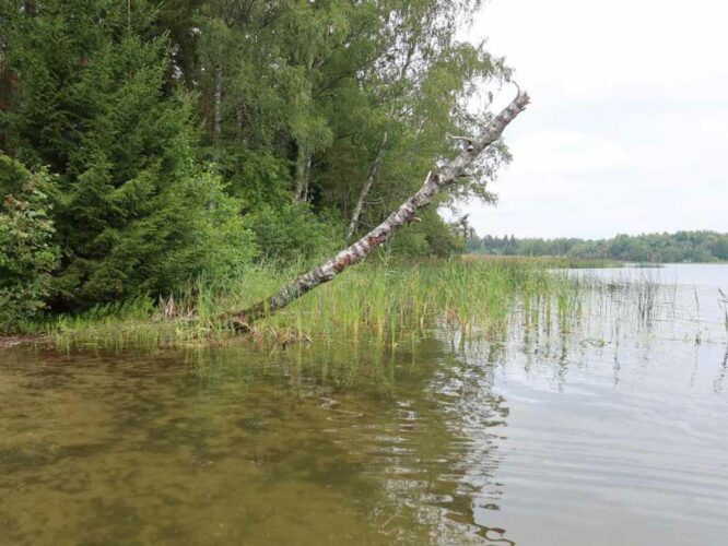 Pangodi järv 2023