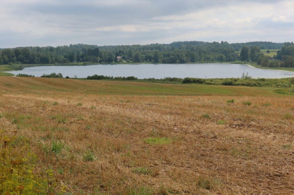 Kivijärv 2023