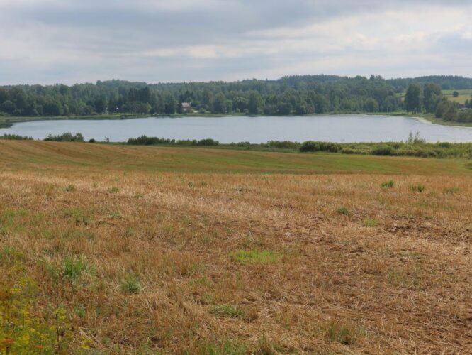 Kivijärv 2023