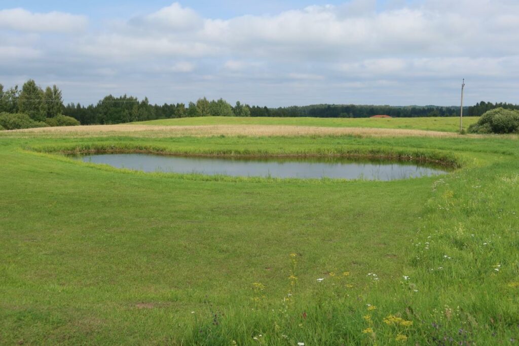 tiik Kivijärve lähedal 2023
