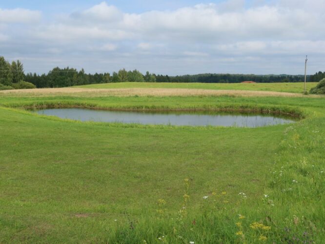tiik Kivijärve lähedal 2023