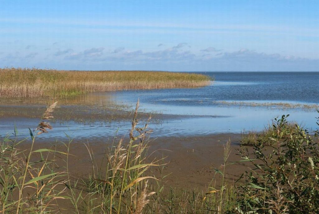 Võrtsjärv 2023