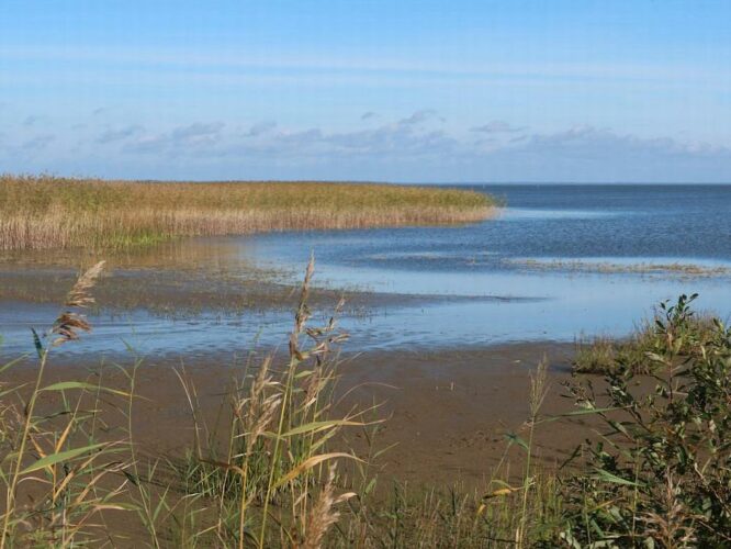 Võrtsjärv 2023