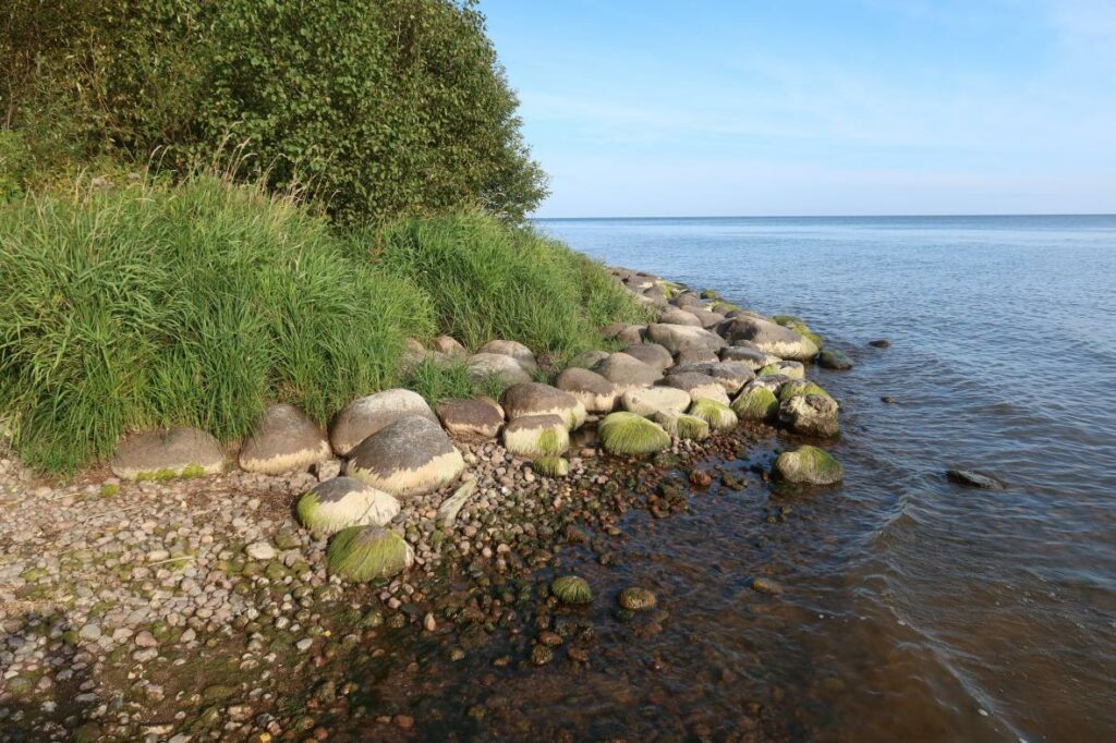 Peipsi järv 2023