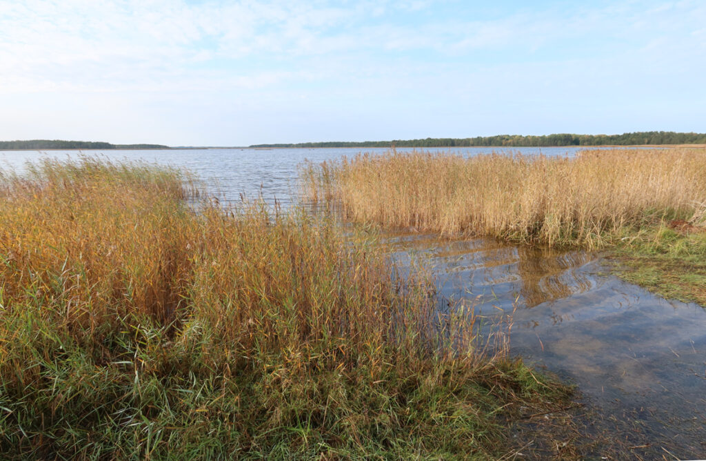 Läänemeri, Pädaste lõpp 2023