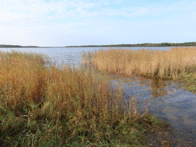 Läänemeri, Pädaste lõpp 2023