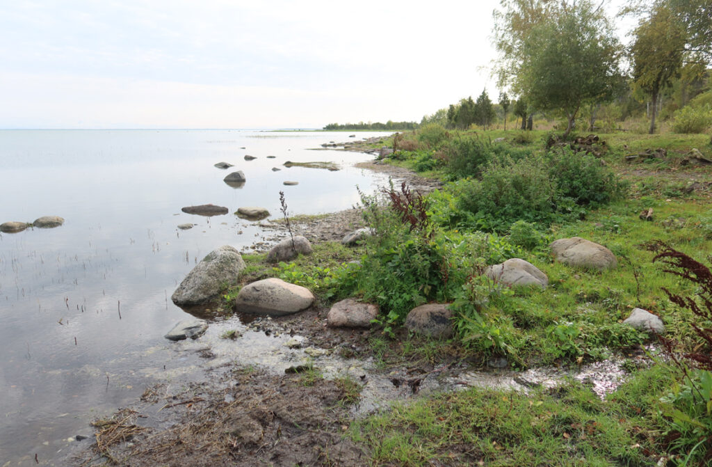 Läänemeri, Väinameri 2023