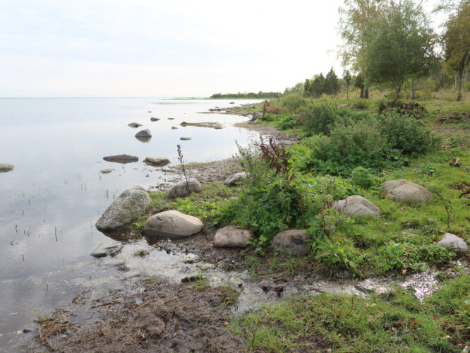 Läänemeri, Väinameri 2023