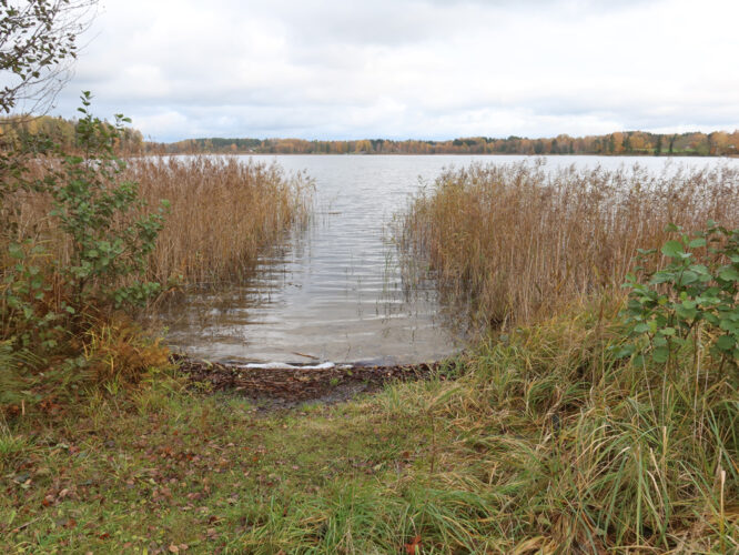 Nõuni järv 2023