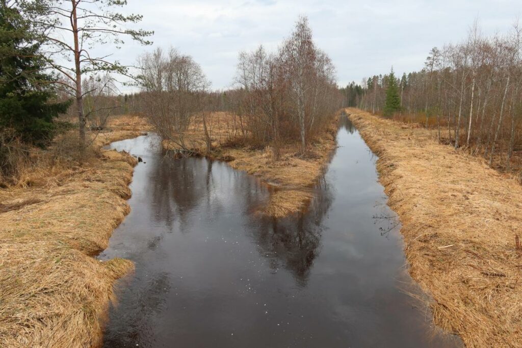 Avijõgi 2024