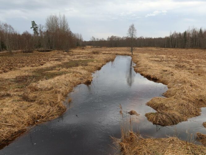 Avijõgi 2024