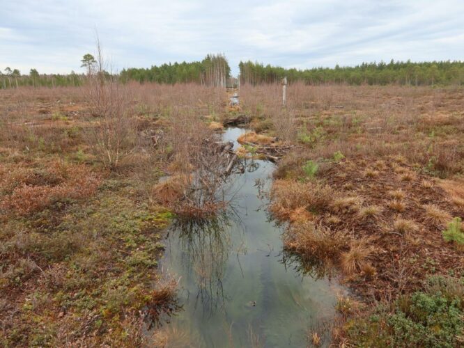 Tudu järve väljavool 2024