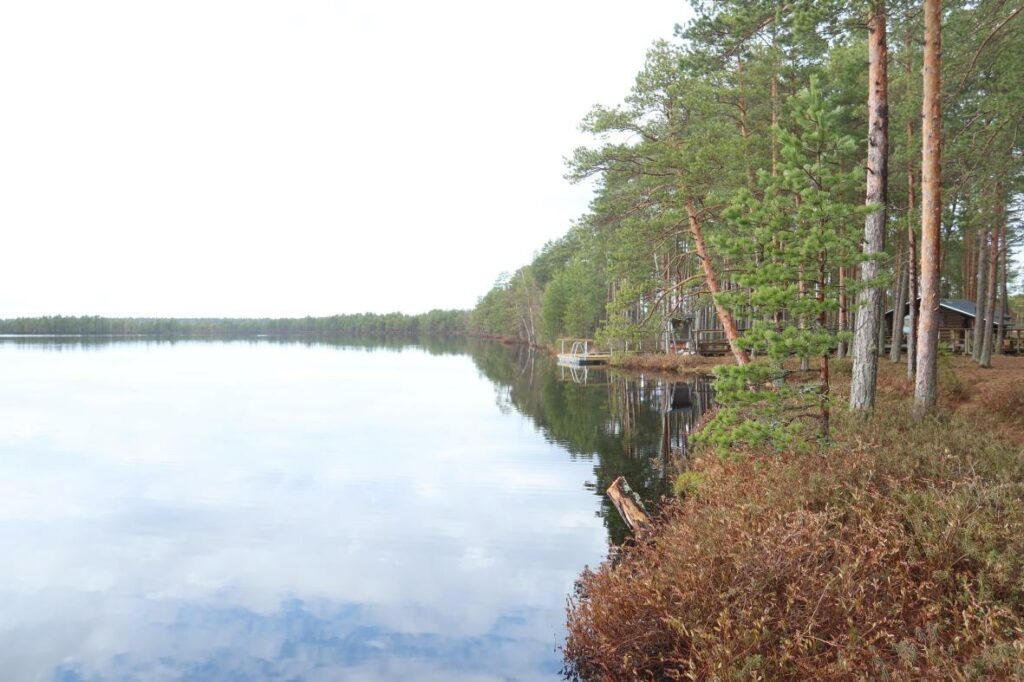 Tudu järv 2024