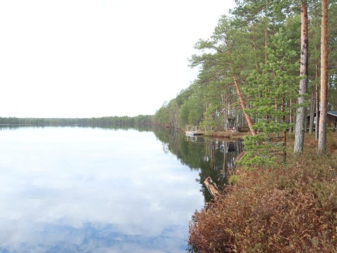 Tudu järv 2024