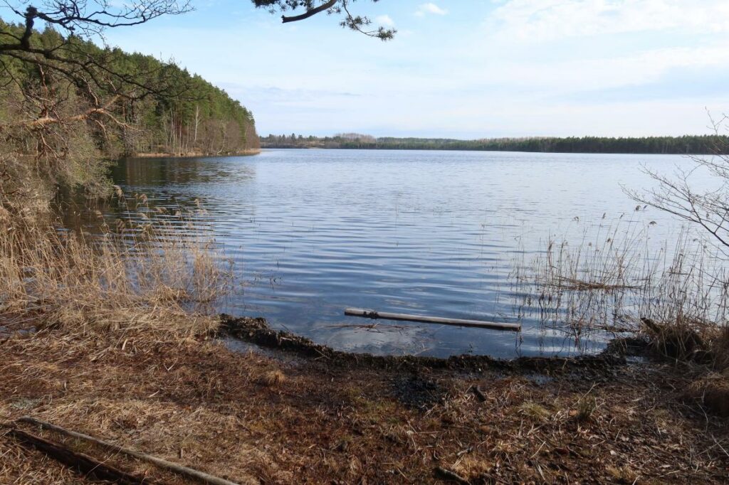 Uljaste järv 2024