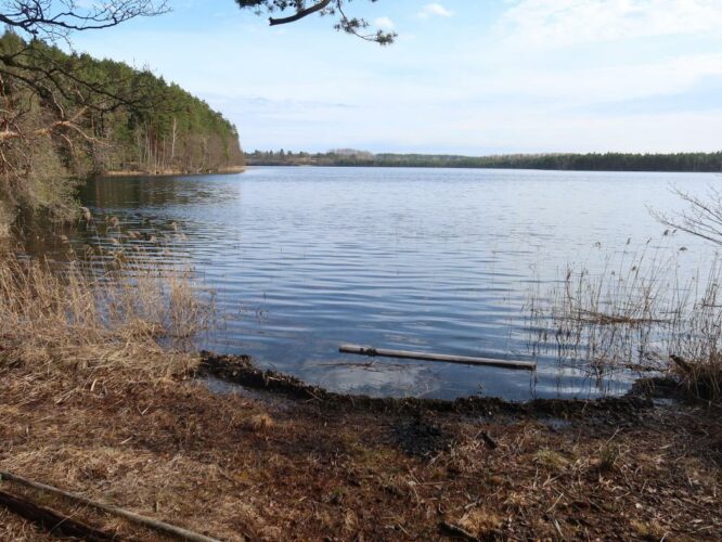 Uljaste järv 2024