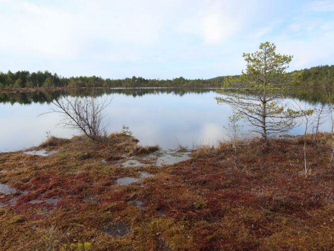 Mädajärv 2024