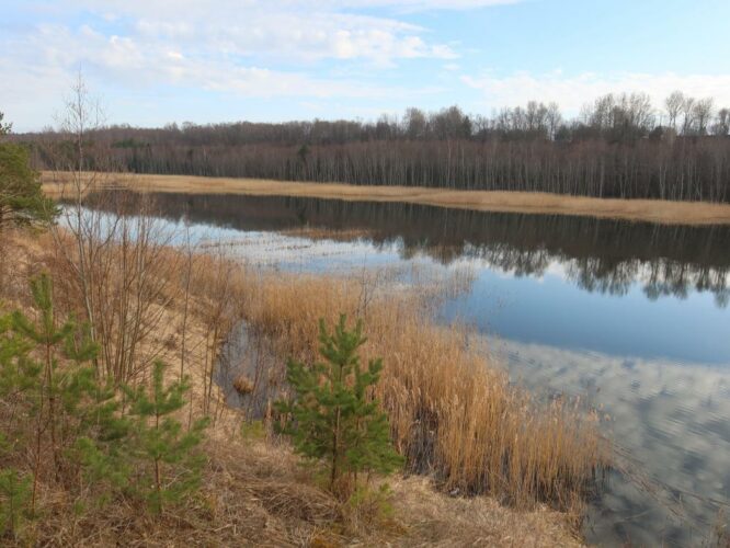 Aseri karjäär 2024
