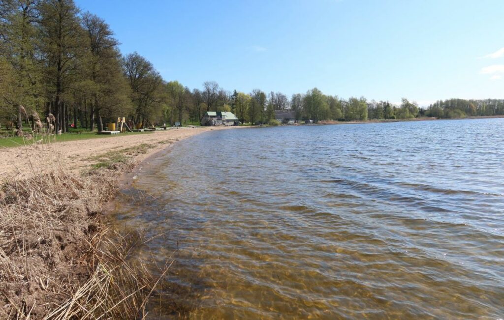 Kuremaa järv 2024