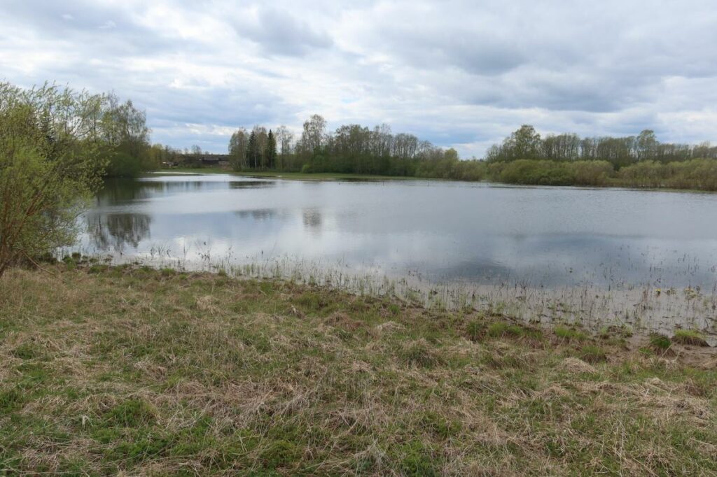 Jalgsema järv 2024