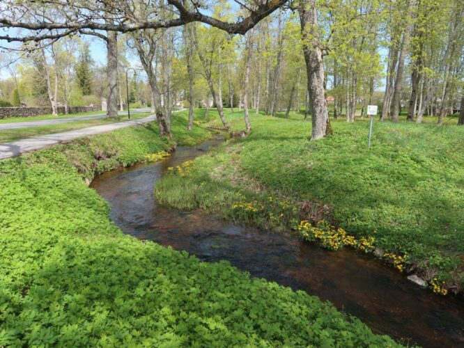 Tõstamaa jõgi 2024