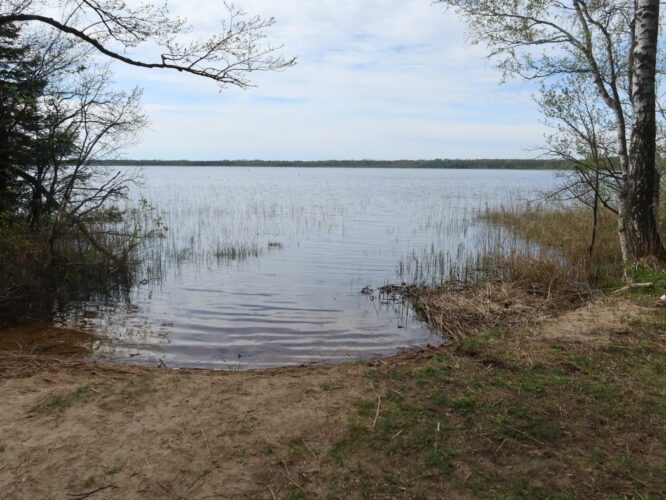 Ermistu järv 2025