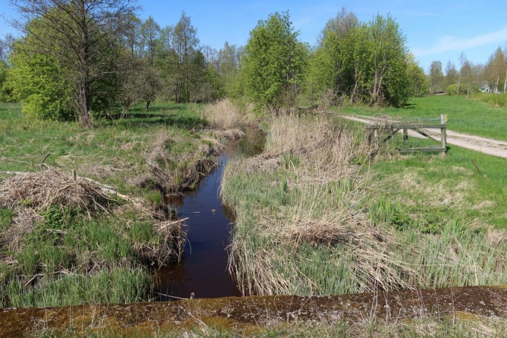 Künnima jõgi 2024