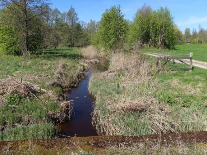 Künnima jõgi 2024