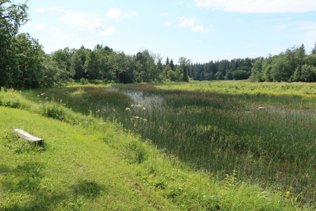 Kasari jõgi 2024