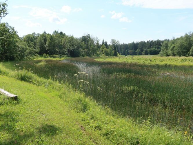 Kasari jõgi 2024