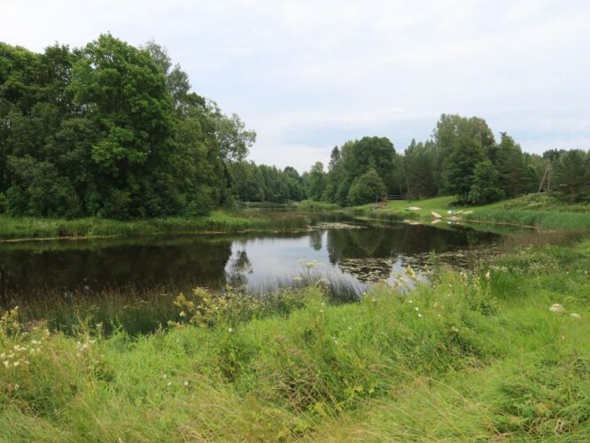 Navesti jõgi 2024