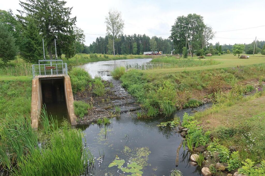 Lemmjõgi 2024