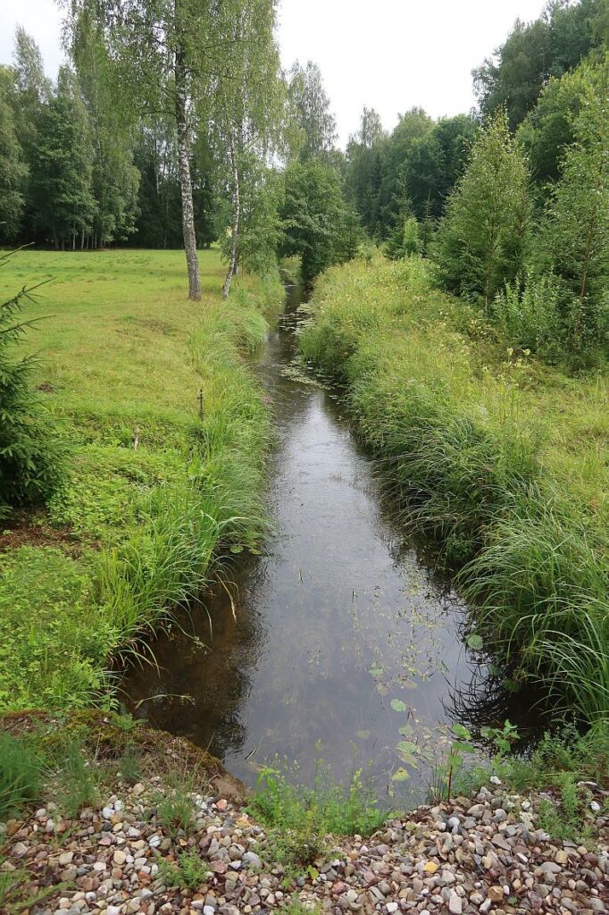 Lemmjõgi 2024