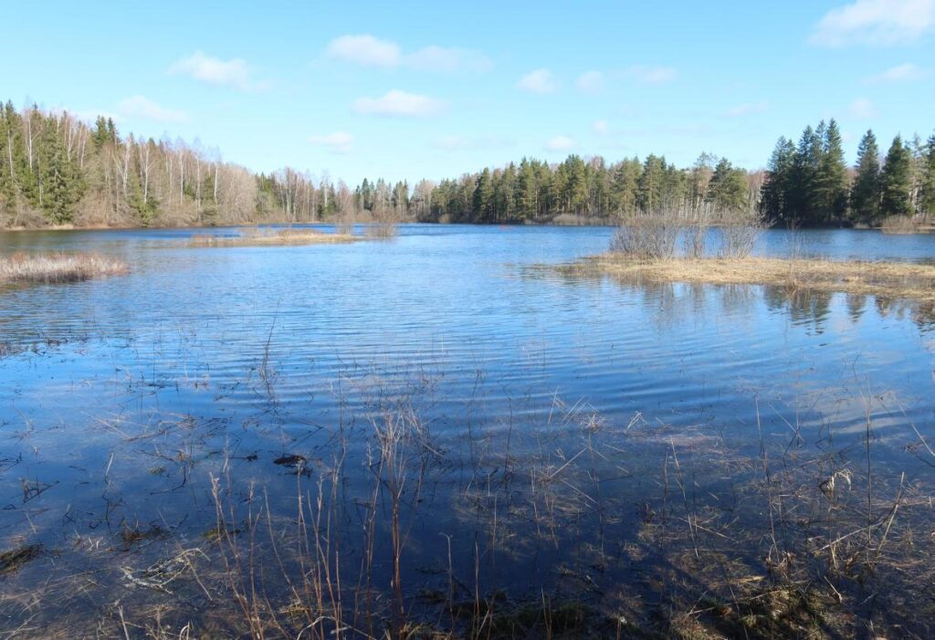 Lemmküla järv 2025