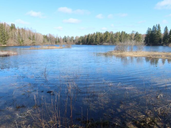 Lemmküla järv 2025