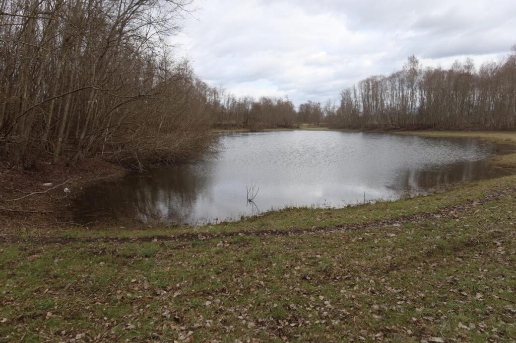 Tudre S karstijärv 2025