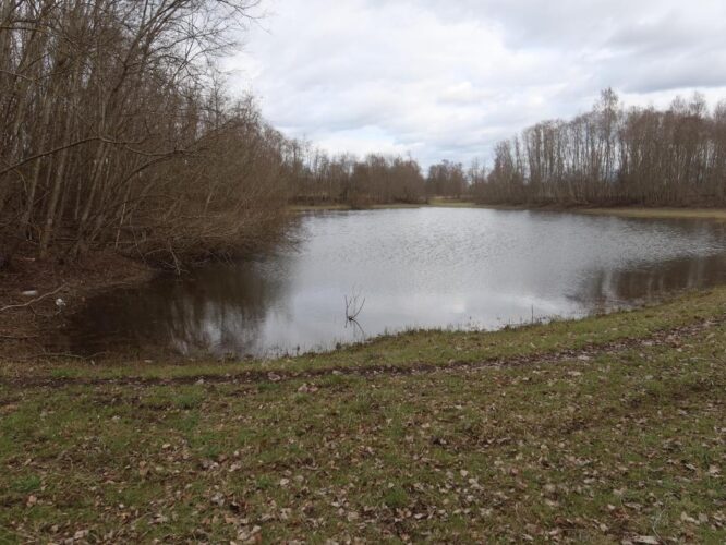 Tudre S karstijärv 2025