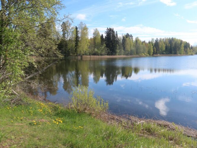 Lõõdla järv 2025