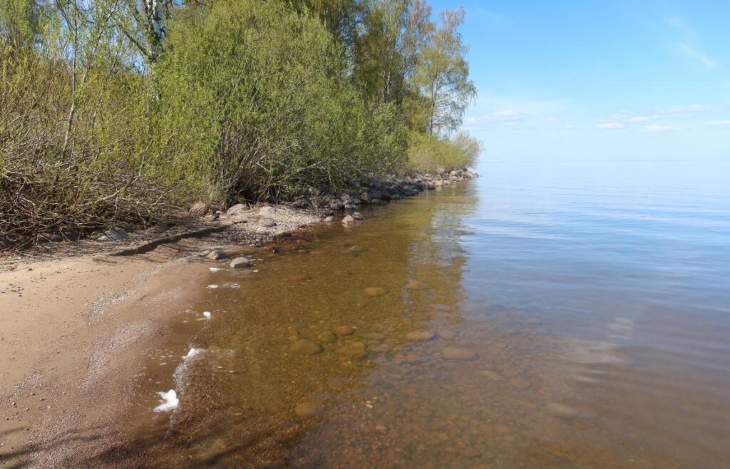 Peipsi järv 2025