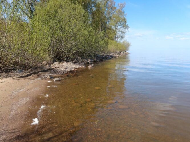 Peipsi järv 2025