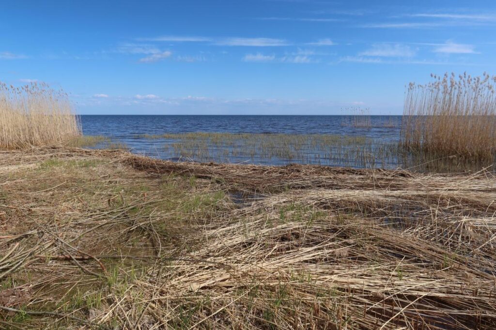 Peipsi järv 2025