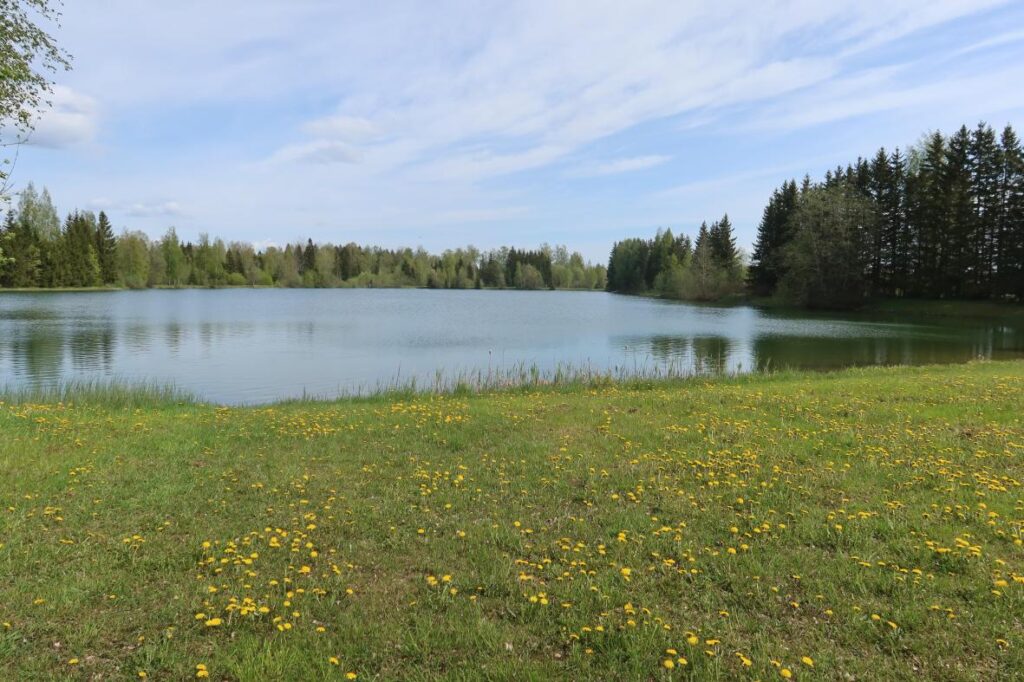 Aidu tehisjärv 2025