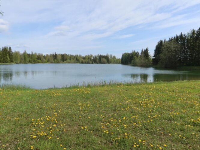 Aidu tehisjärv 2025