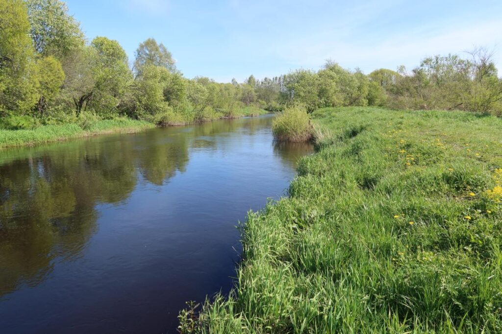 Põltsamaa jõgi 2025