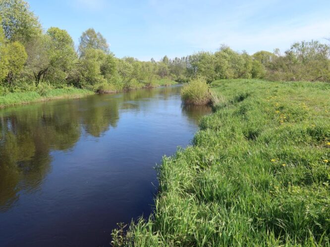 Põltsamaa jõgi 2025