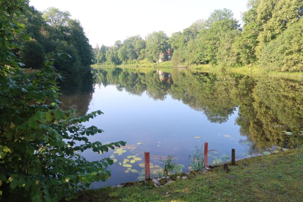 Lahmuse paisjärv 2025