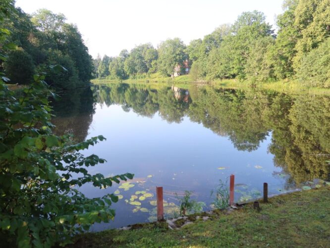 Lahmuse paisjärv 2025