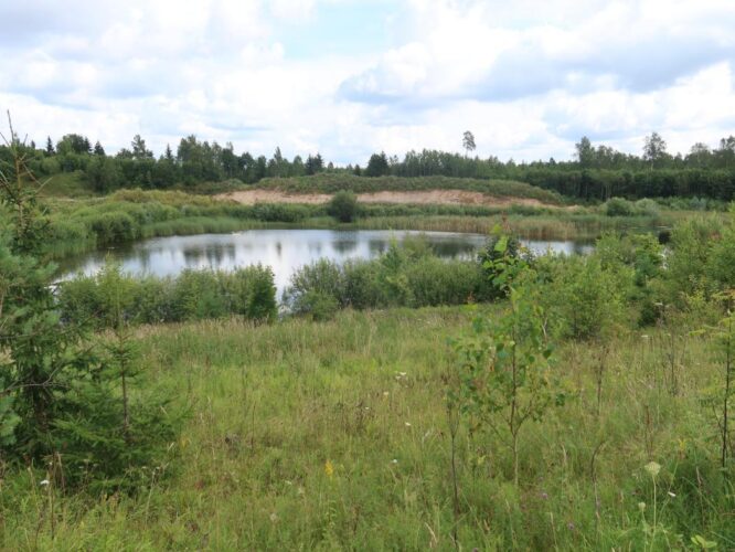 Välgita tehisjärv 2025